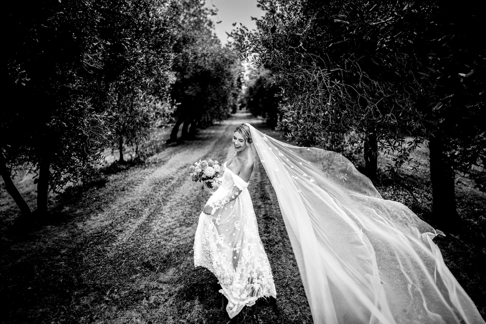 Matrimonio a Masseria San Giovanni bianco e nero campo di ulivi sposa ritratto  velo al vento