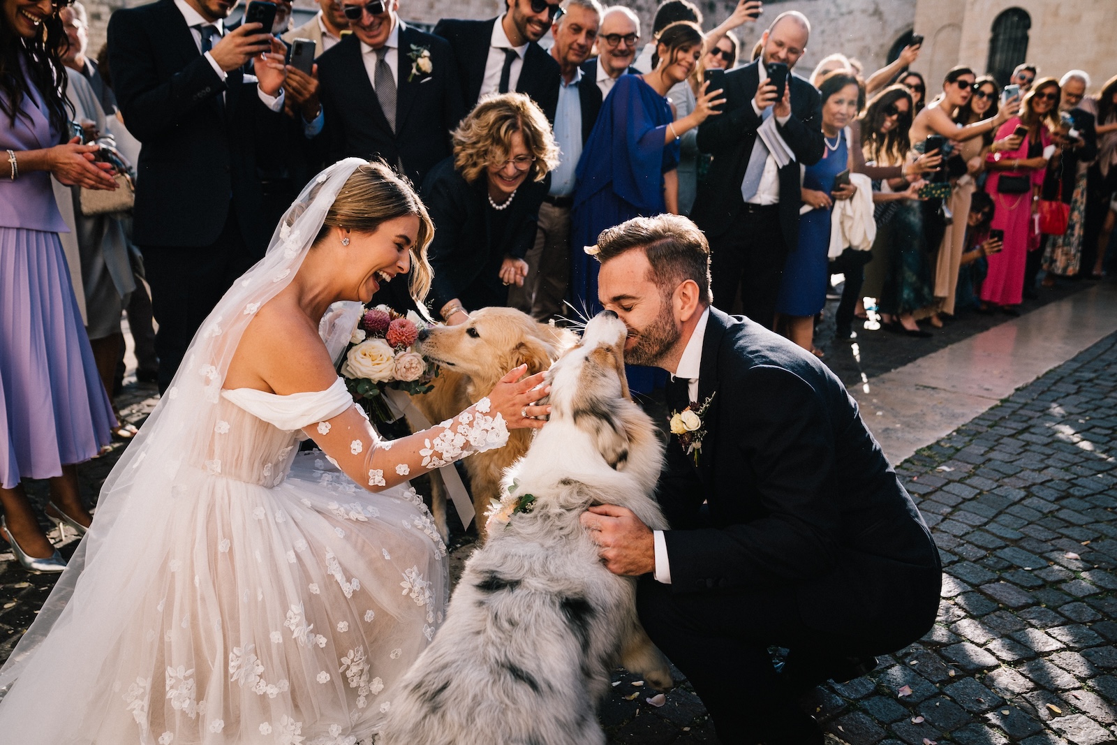 Matrimonio a Masseria San Giovanni  basilica di bari uscita sposi  cani animali al matrimonio