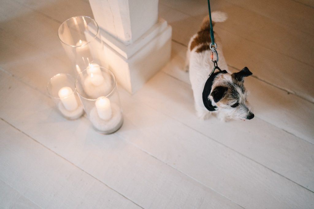 Matrimonio invernale a Borgo Egnazia